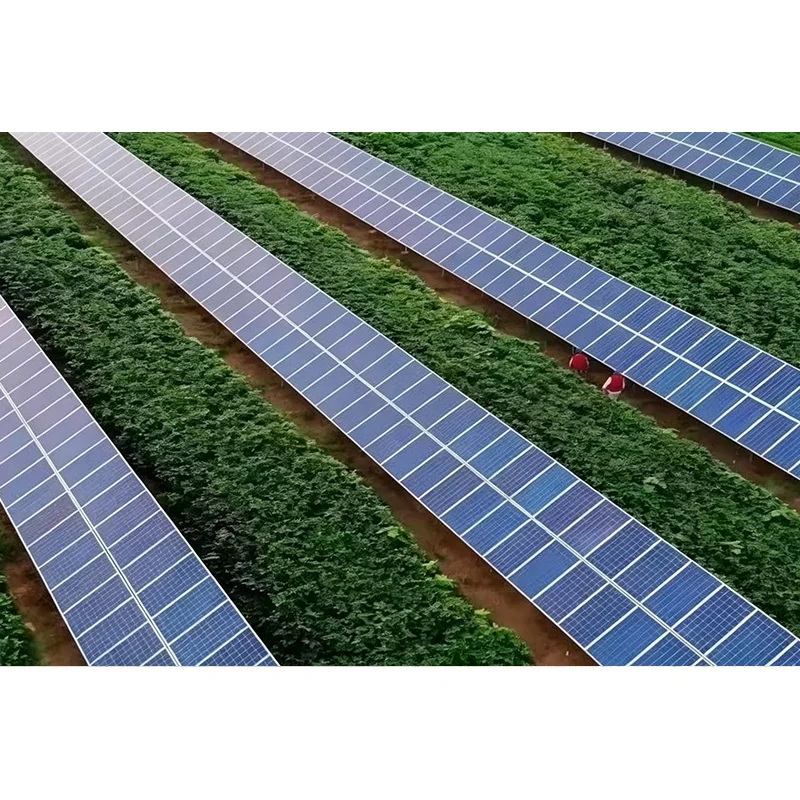 Hva gjør et skråstilt enakset solsporingssystem effektivt for moderne PV-prosjekter?