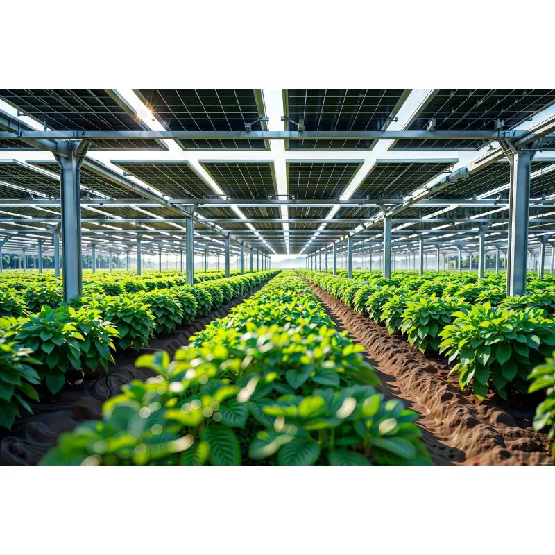 Agrivoltaic solenergi drivhussystem